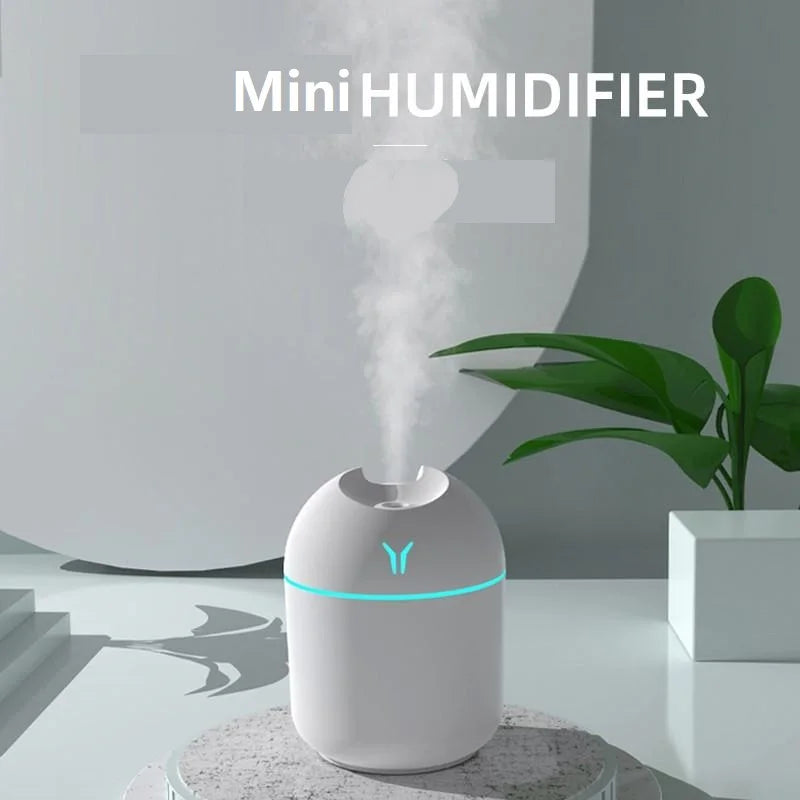 Mini USB Mist Home Diffuser