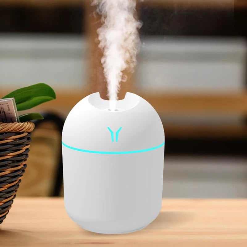 Mini USB Mist Home Diffuser